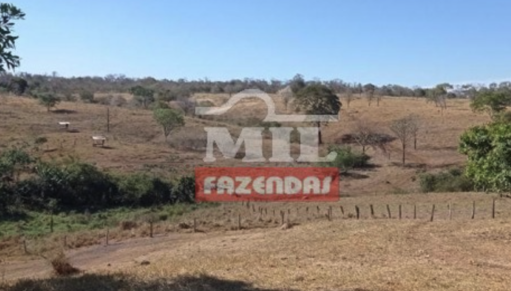 Fazenda em Bom Jardim de Goiás - Goiás – Mil Fazendas