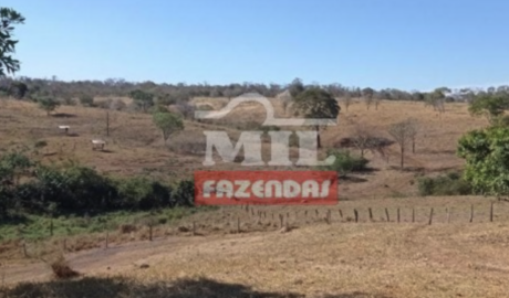 Fazenda em Bom Jardim de Goiás - Goiás – Mil Fazendas