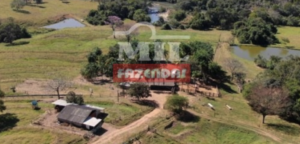 Fazenda em Caldas Novas - Goiás – Mil Fazendas