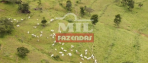 Fazenda em Caldas Novas - Goiás  – Mil Fazendas