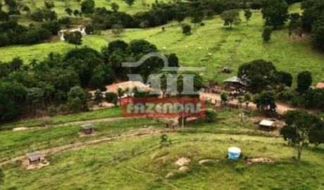 Fazenda em Caldas Novas - Goiás – Mil Fazendas