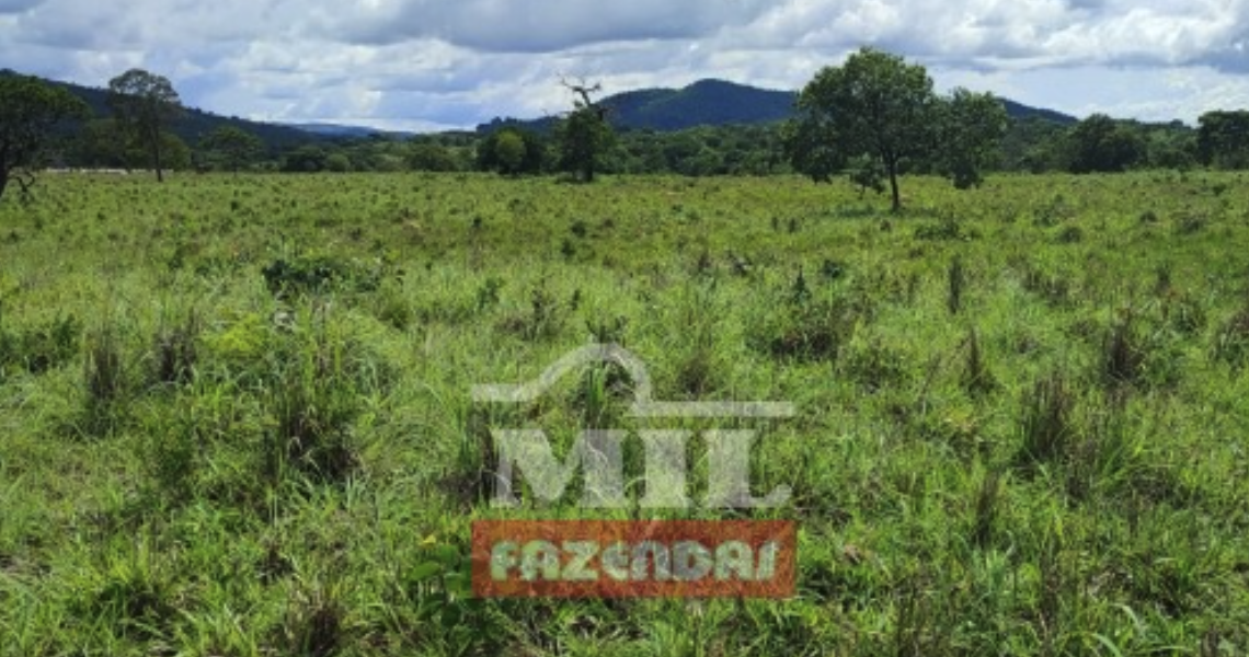 Fazenda em Campinorte - Goiás – Mil Fazendas