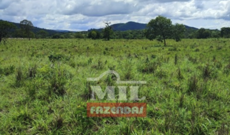 Fazenda em Campinorte - Goiás – Mil Fazendas