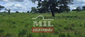 Fazenda em Campinorte - Goiás – Mil Fazendas