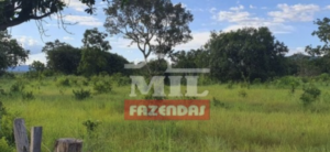 Fazenda em Cavalcante - Goiás – Mil Fazendas