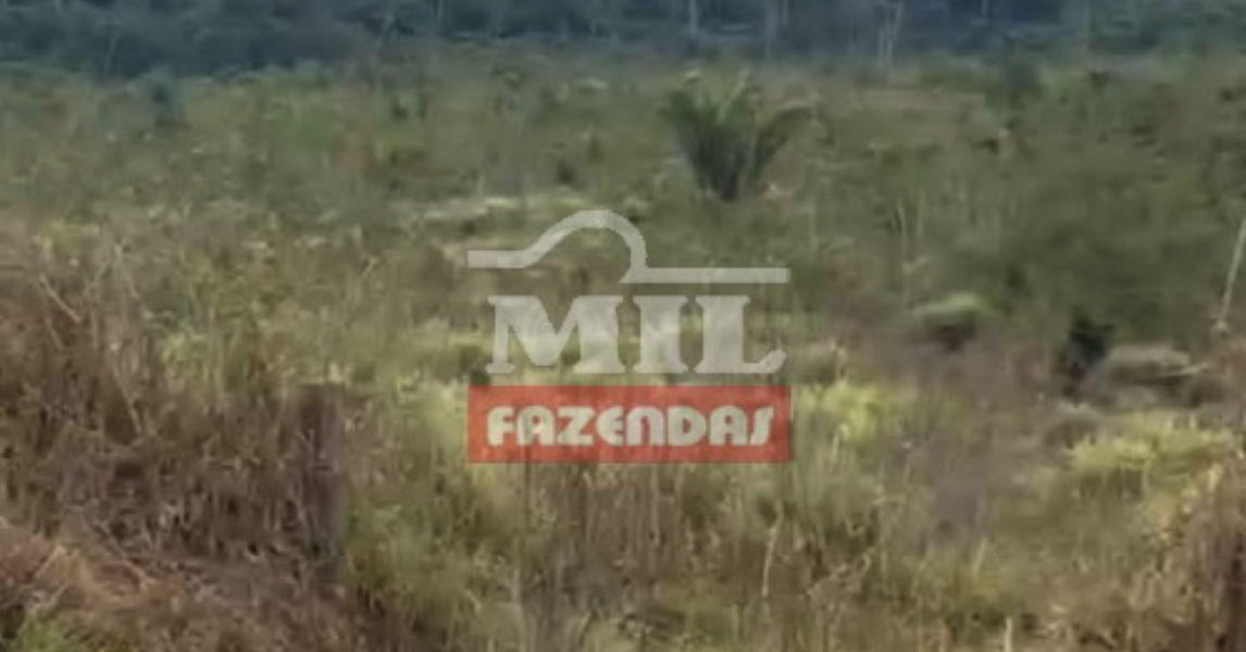 Fazenda em Centro Novo do Maranhão - Maranhão – Mil Fazendas