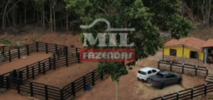 Fazenda em Cristianópolis - Goiás – Mil Fazendas