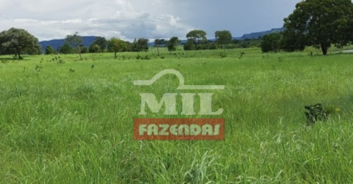 Fazenda em Crixás - Goiás – Mil Fazendas