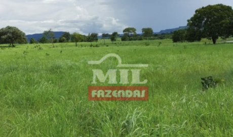 Fazenda em Crixás - Goiás – Mil Fazendas