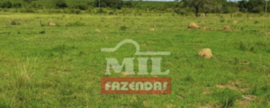 Fazenda em Dueré - Tocantins – Mil Fazendas