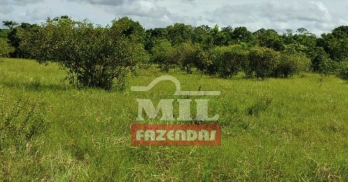 Fazenda em Dueré - Tocantins – Mil Fazendas