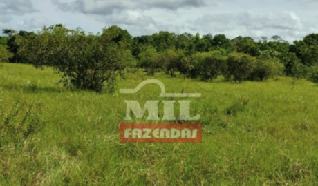 Fazenda em Dueré - Tocantins – Mil Fazendas