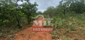 Fazenda em Formosa - Goiás – Mil Fazendas