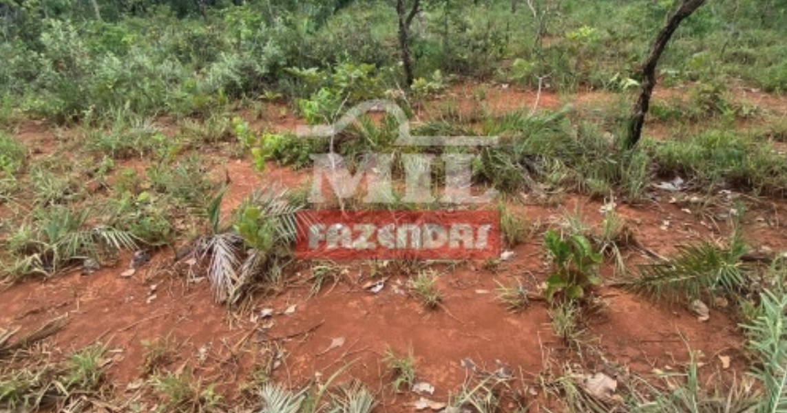 Fazenda em Formosa - Goiás – Mil Fazendas