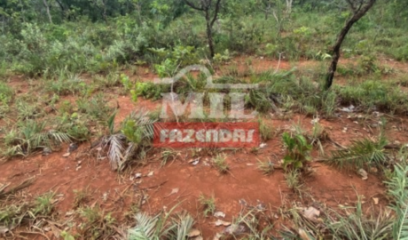 Fazenda em Formosa - Goiás – Mil Fazendas