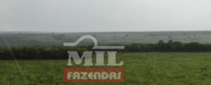 Fazenda em Formoso do Araguaia - Tocantins – Mil Fazendas