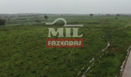 Fazenda em Formoso do Araguaia - Tocantins – Mil Fazendas