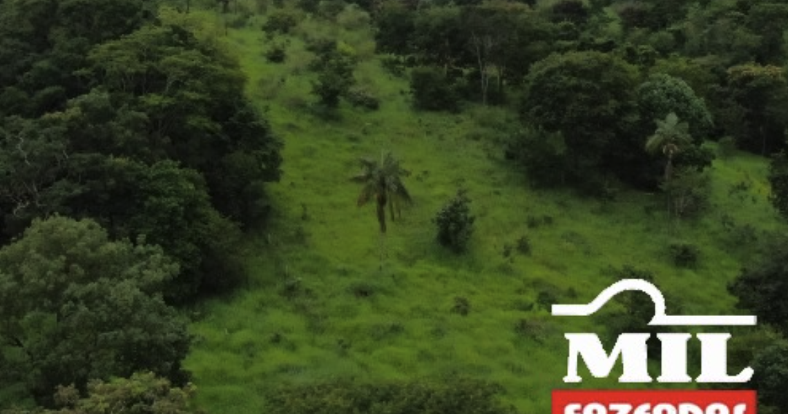 Fazenda em Hidrolândia - Goiás – Mil Fazendas