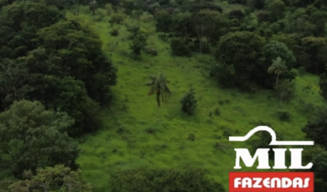 Fazenda em Hidrolândia - Goiás – Mil Fazendas