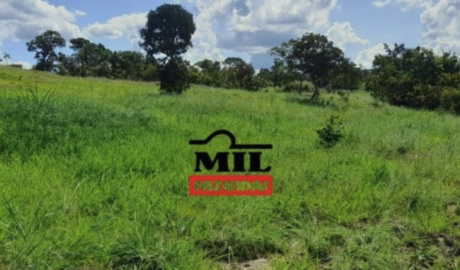 Fazenda em Hidrolina - Goiás – Mil Fazendas