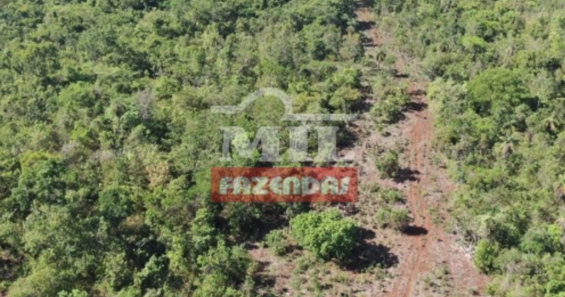 Fazenda em Itapaci - Goiás – Mil Fazendas