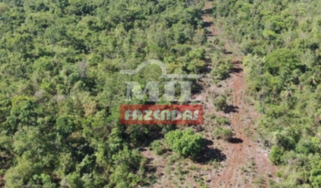 Fazenda em Itapaci - Goiás – Mil Fazendas