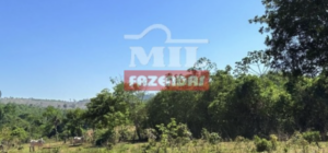 Fazenda em Itapaci - Goiás – Mil Fazendas