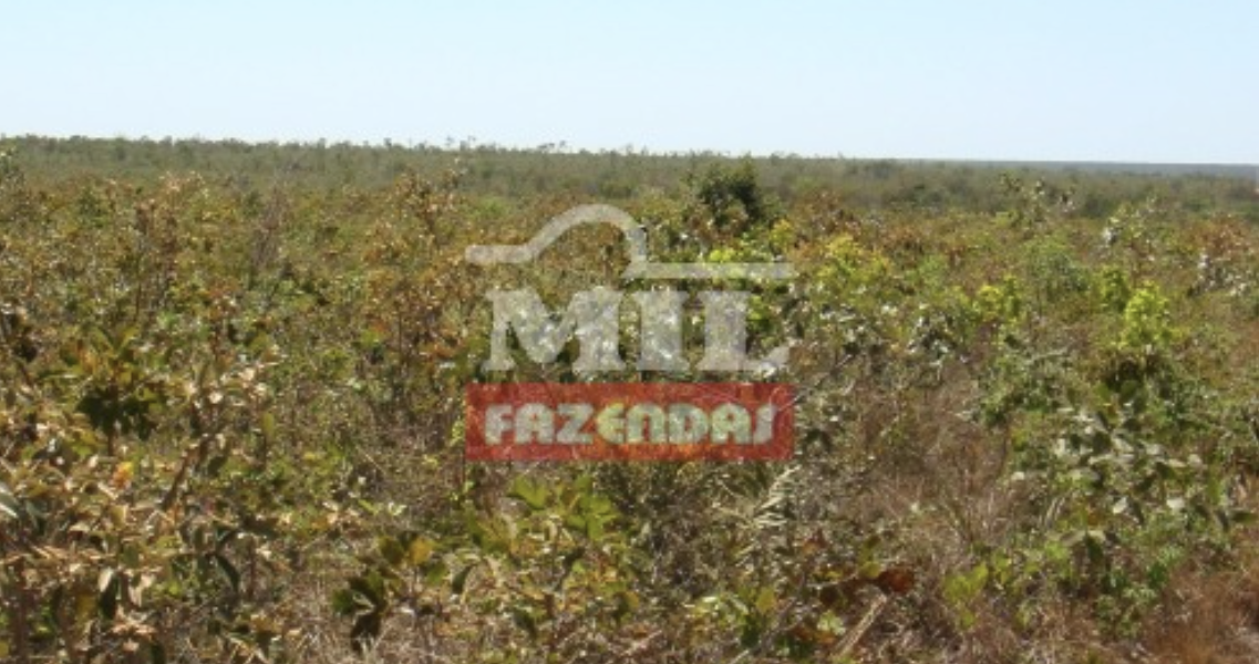 Fazenda em Manoel Emídio - Piauí – Mil Fazendas