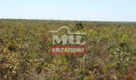 Fazenda em Manoel Emídio - Piauí – Mil Fazendas