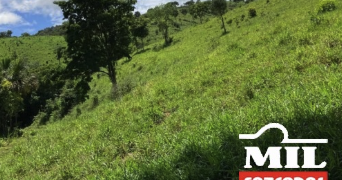 Fazenda em Minaçu - Goiás – Mil Fazendas