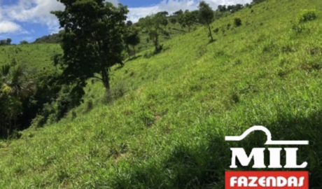 Fazenda em Minaçu - Goiás – Mil Fazendas