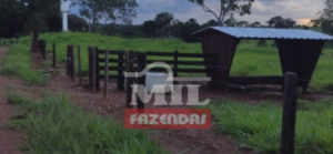 Fazenda em Monte Santo do Tocantins - Tocantins – Mil Fazendas