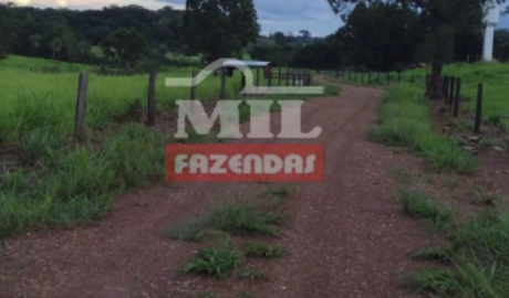 Fazenda em Monte Santo do Tocantins - Tocantins – Mil Fazendas