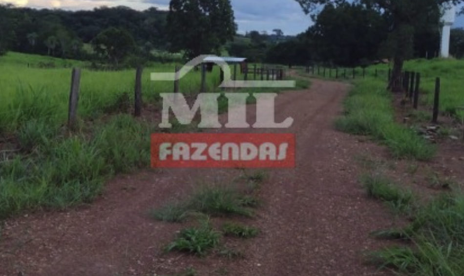 Fazenda em Monte Santo do Tocantins - Tocantins – Mil Fazendas