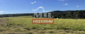 Fazenda em Montes Claros de Goiás - Goiás – Mil Fazendas