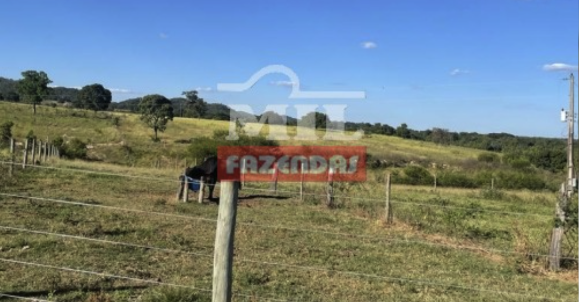 Fazenda em Montes Claros de Goiás - Goiás – Mil Fazendas