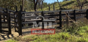 Fazenda em Niquelândia - Goiás – Mil Fazendas