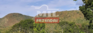 Fazenda em Nova Roma - Goiás – Mil Fazendas