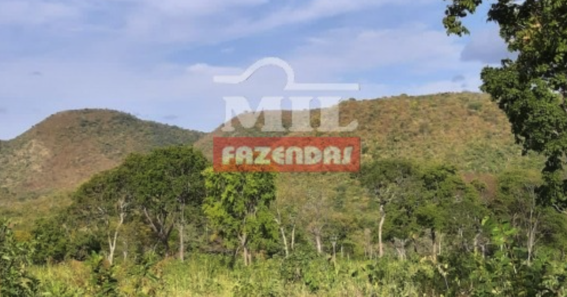 Fazenda em Nova Roma - Goiás – Mil Fazendas