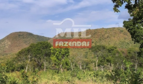 Fazenda em Nova Roma - Goiás – Mil Fazendas