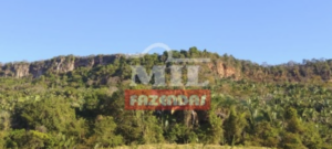 Fazenda em Novo Acordo - Tocantins – Mil Fazendas