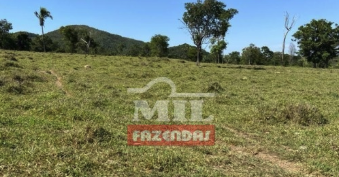 Fazenda em Paracatu - Minas Gerais – Mil Fazendas