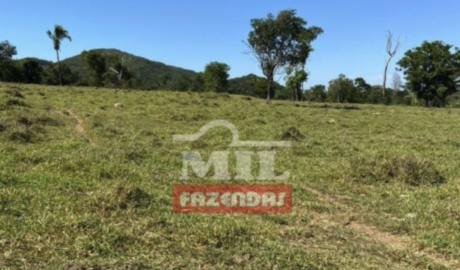 Fazenda em Paracatu - Minas Gerais – Mil Fazendas