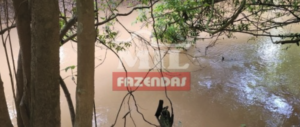 Fazenda em Paraúna - Goiás – Mil Fazendas