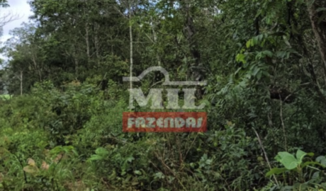 Fazenda em Paraúna - Goiás – Mil Fazendas