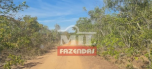 Fazenda em Pindorama do Tocantins - Tocantins – Mil Fazendas