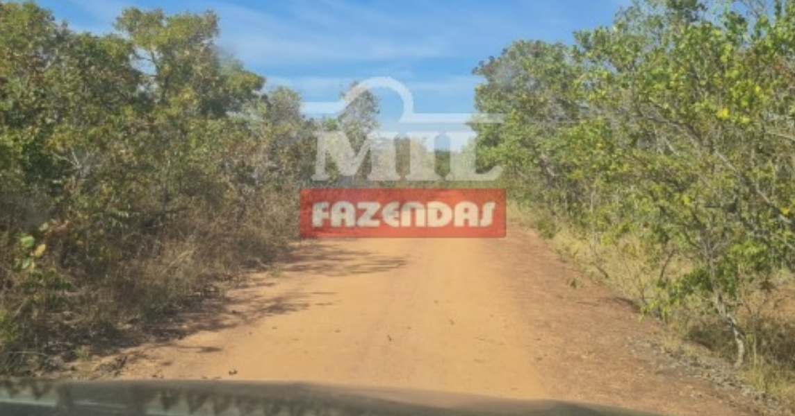 Fazenda em Pindorama do Tocantins - Tocantins – Mil Fazendas