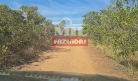 Fazenda em Pindorama do Tocantins - Tocantins – Mil Fazendas