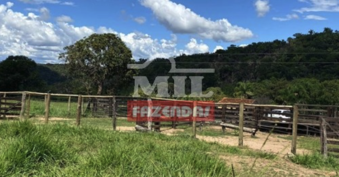 Fazenda em Piranhas - Goiás – Mil Fazendas