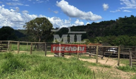 Fazenda em Piranhas - Goiás – Mil Fazendas